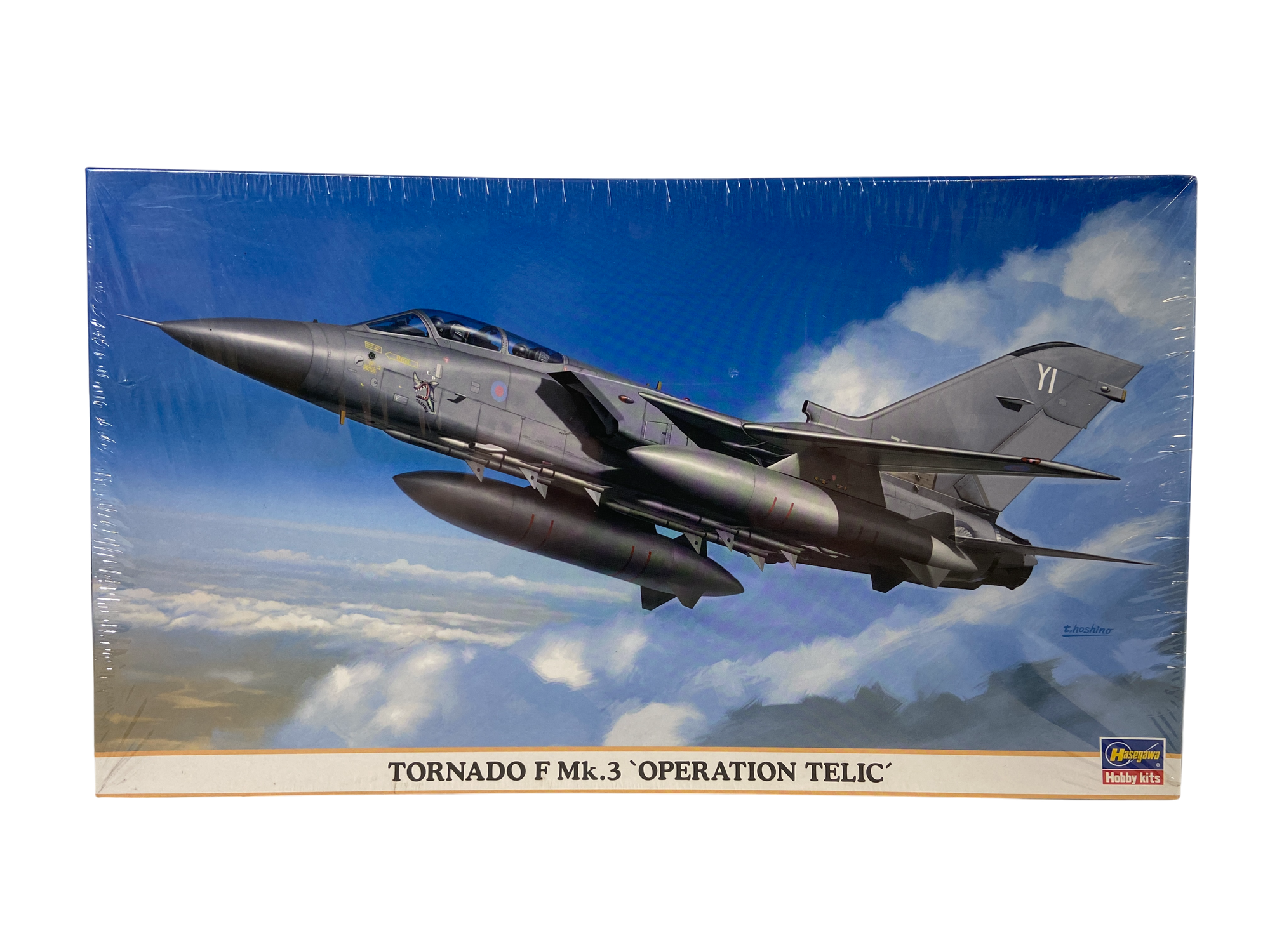 Hasegawa 1:72 Tornado F Mk.3 `Operation Telic´ 00849