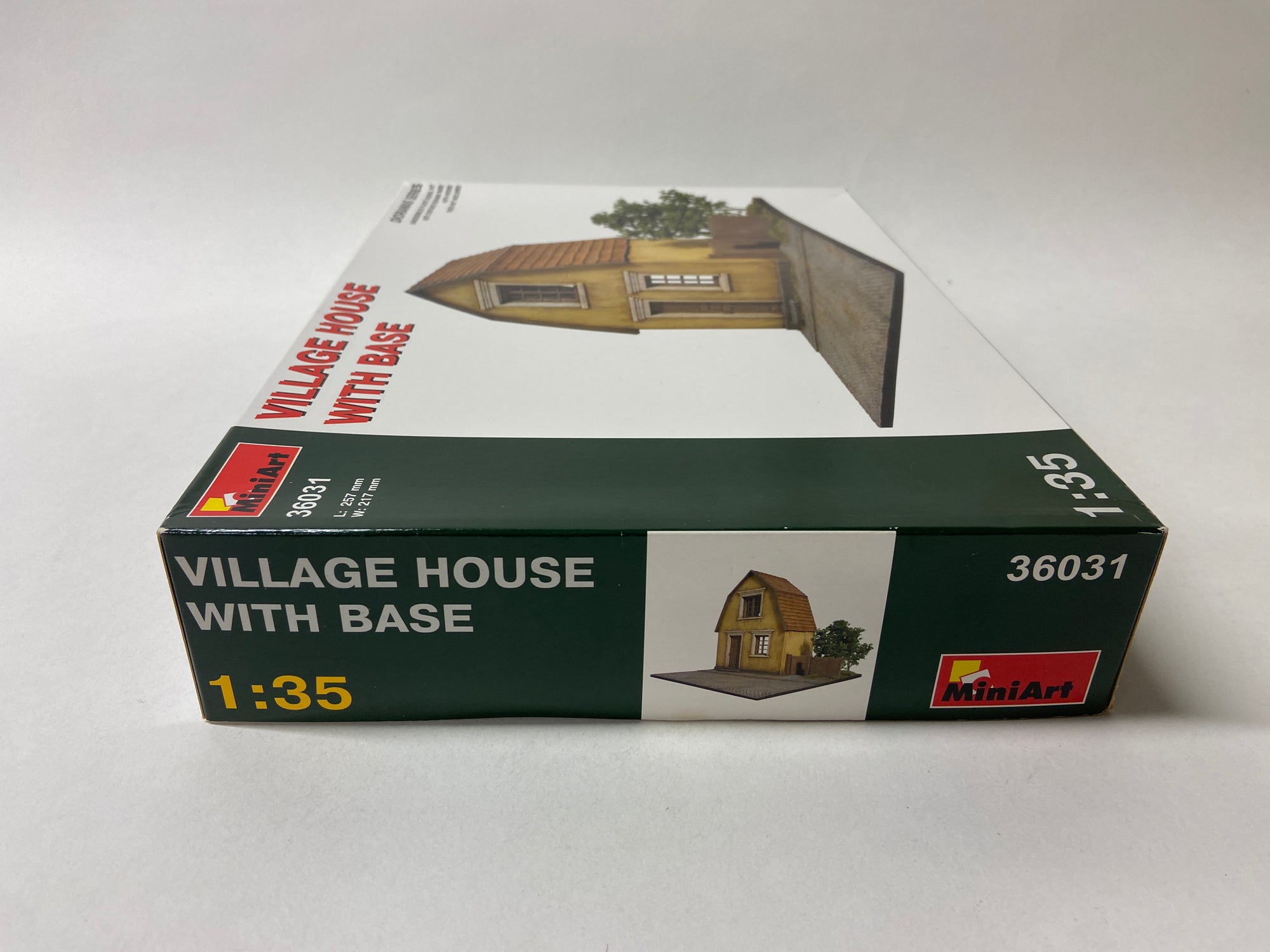 Village House with Base