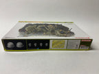 Dragon 1:35 U.S. Rangers Normandy 1944 Premium Edition 6306